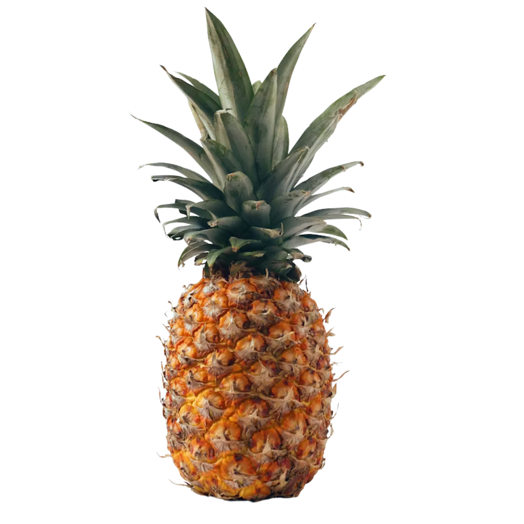 pina.png